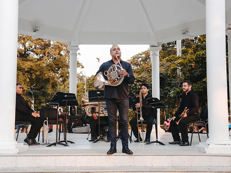 Concierto Musica al Parque II