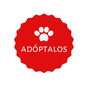 adoptalos