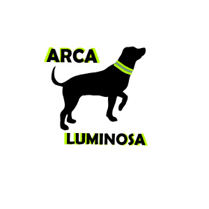 arca_luminosa